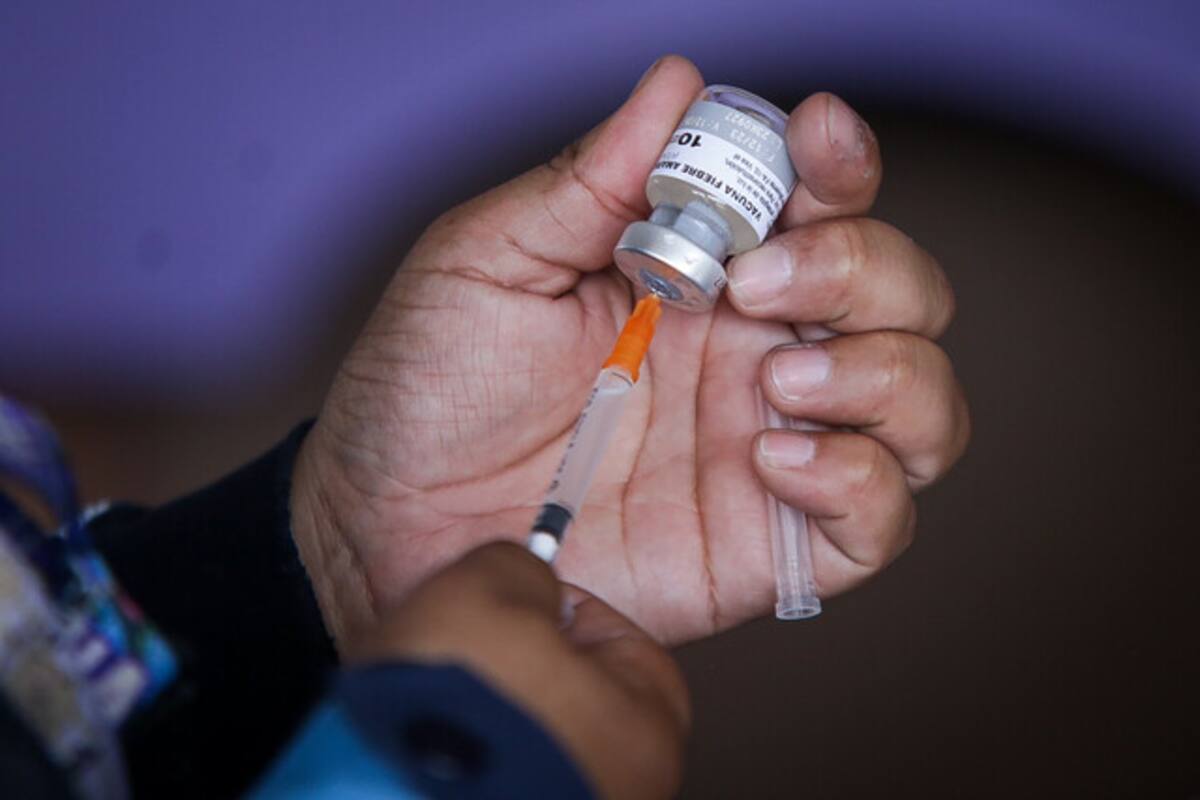 Fiebre amarilla en Colombia: más de 100 casos y 43 fallecidos en 2025