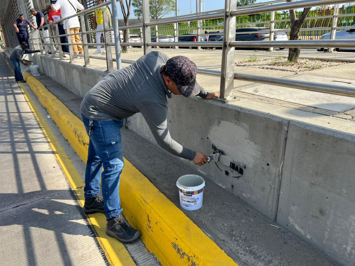 La Alcaldía de Cartagena rechaza vehementemente la vandalización del Viaducto del Gran Manglar. // Foto: cortesía - Alcaldía de Cartagena