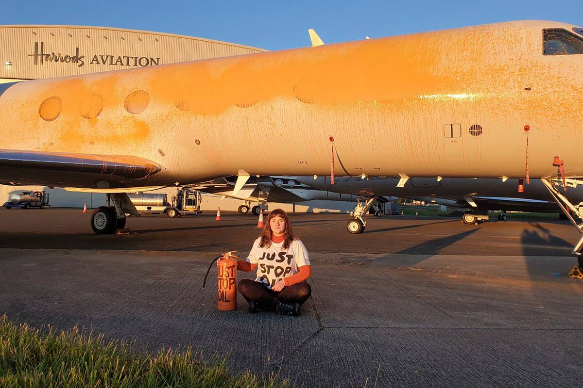 Video: activistas vandalizan con pintura aviones privados en Londres