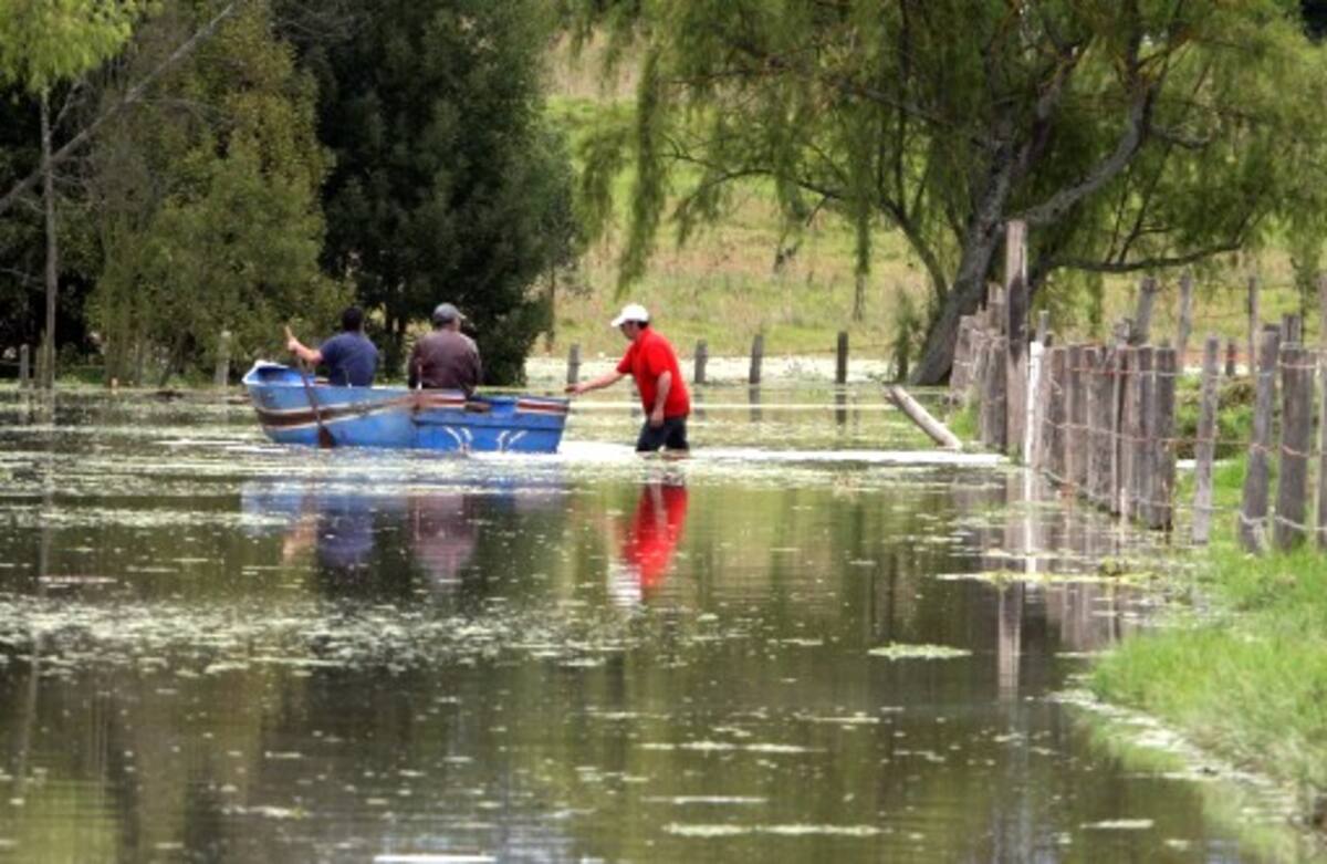 Con el invierno también aparecen los accidentes antiofídicos. COLPRENSA