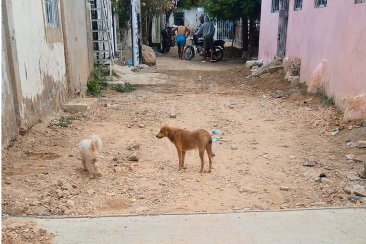 Vecinos de Ceballos piden pavimentar los callejones tras obras en la Diagonal 27C de Cartagena. // Foto: cortesía - comunidad