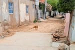 Los callejones de Ceballos que se vuelven ríos cuando llueve: esto exigen los vecinos