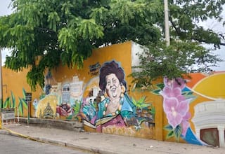¿Cuántos árboles se sembrarán?: comunidad sobre tala durante obras de Distrito Creativo