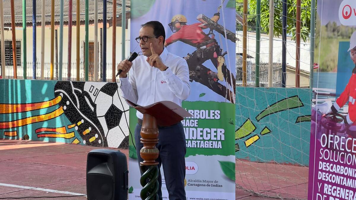 La empresa resaltó que la poda adecuada permite árboles más saludables // Cortesía.