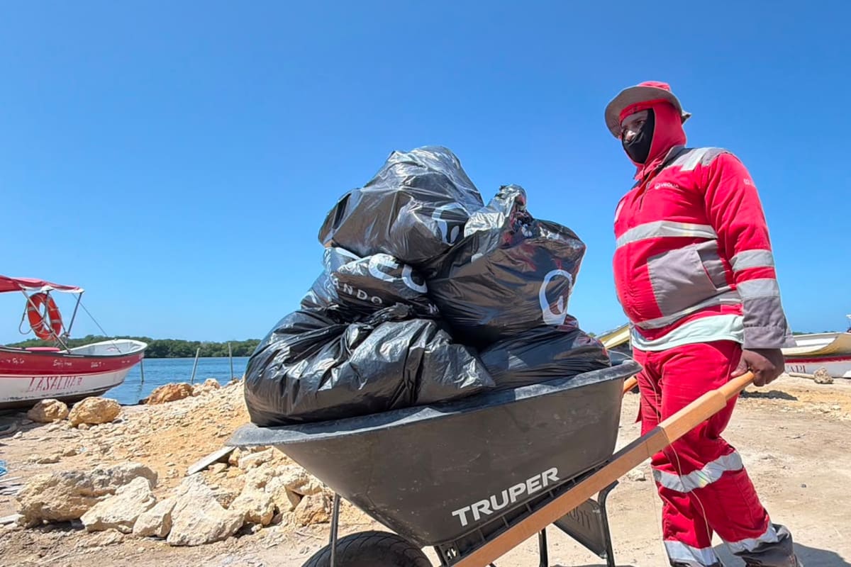 Veolia realizó limpieza de manglares en Barú y sacó toneladas de residuos