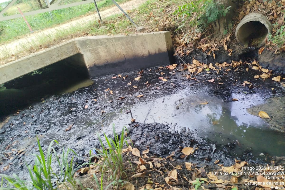 Tras denuncia ciudadana, Cardique impone medida preventiva por vertimiento irregular en arroyo Membrillal