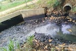 Tras denuncia ciudadana, Cardique impone medida preventiva por vertimiento irregular en arroyo Membrillal