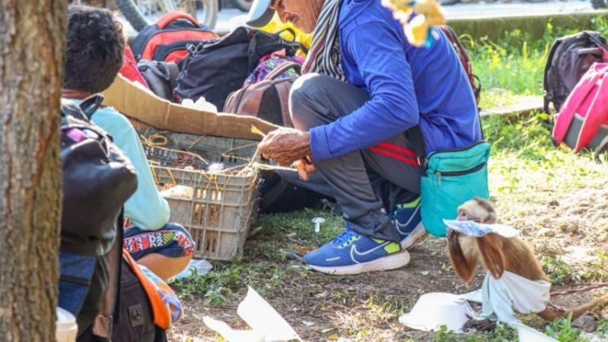 Miles de desplazados se refugian temporalmente en Cúcuta. // Foto: La Opinión
