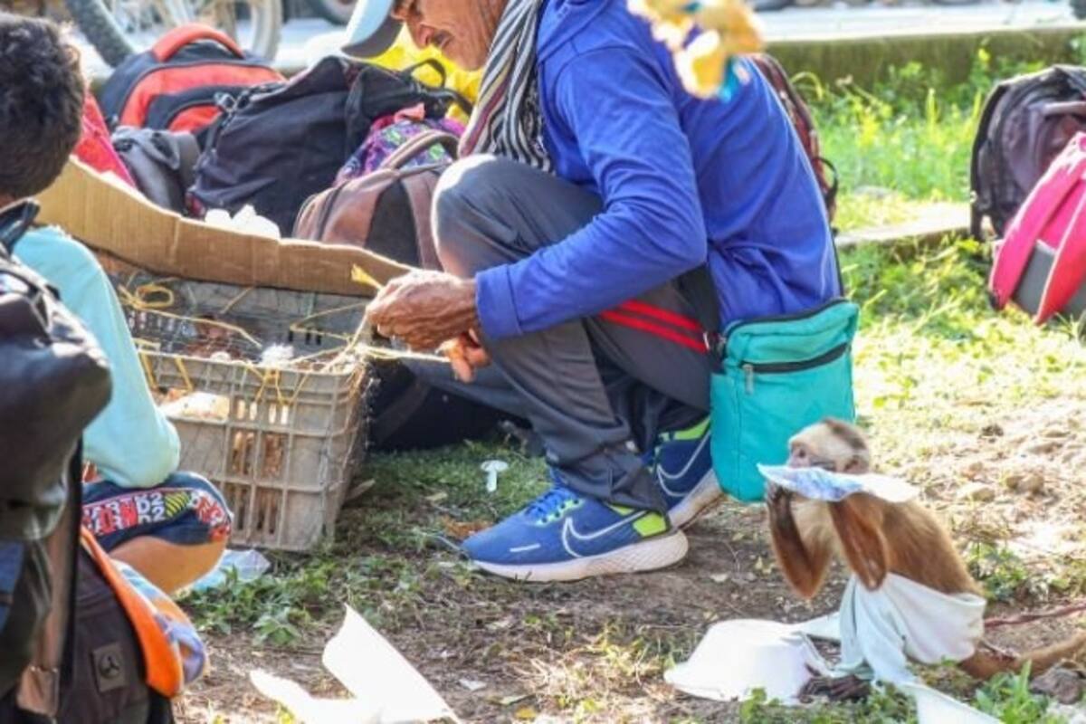 Catatumbo: ELN toma tierras y siembra terror en campesinos retornados