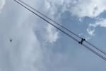 Video: bomberos utilizaron un dron para rescatar a gato atrapado en Pereira