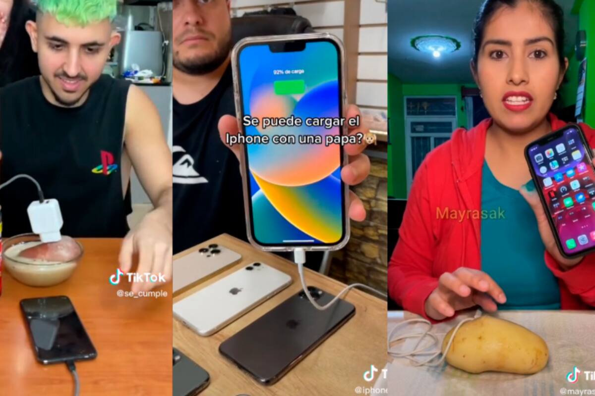 ¿Una papa puede cargar el celular? Tendencia en redes sociales por esta teoría