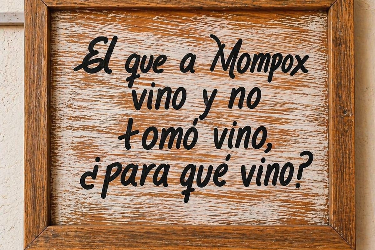 El secreto del vino de corozo en Mompox: tradición, fruta silvestre y sabor a Caribe