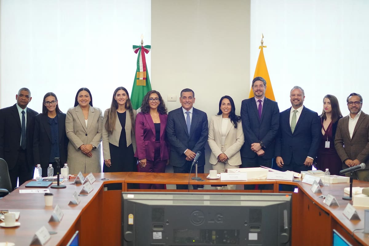 Rafael Meza, María M. Abondano, Liliana Rodríguez, Teremar Londoño, Patricia Quiles, Dumek Turbay, Liliana Majana, Pablo Monroy, Guillermo Zamora, Laura González y Cuitláhuac Gutiérrez.