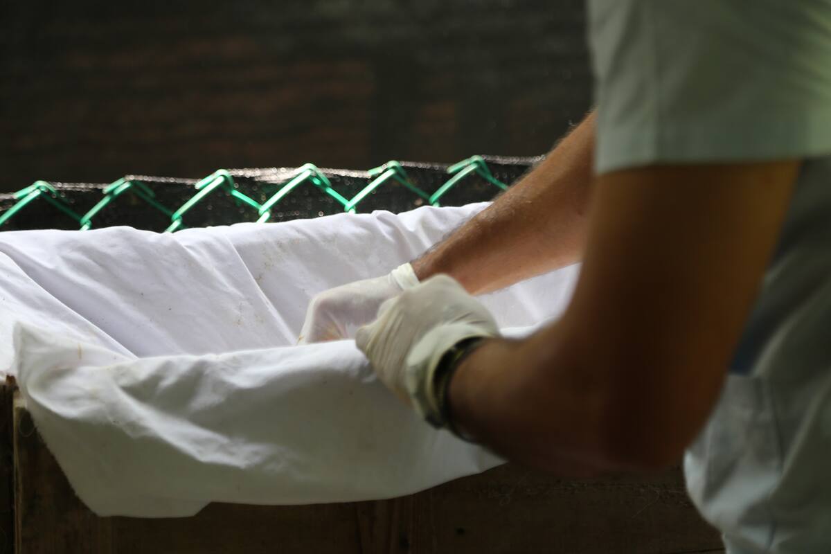 Trump sacude el narcotráfico colombiano y cambia las rutas de la cocaína. // Foto: Colprensa.