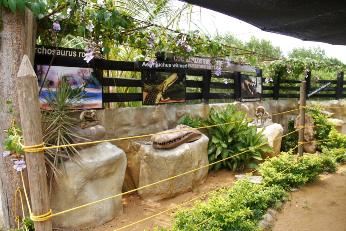 El Vivarium del Caribe es un espacio de conservación y protección animal.