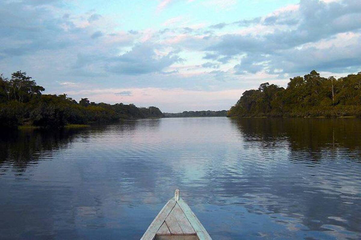 MinAmbiente solicita trabajar en conjunto para proteger la Amazonía