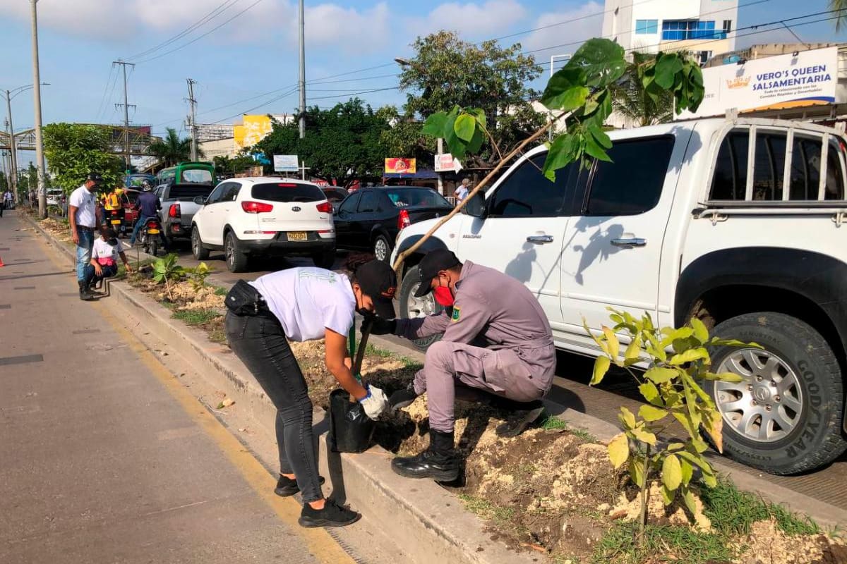 Así se llevará a cabo el mantenimiento del proyecto “Siembra Vida”