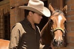 ¿Reconoció su voz? El video del caballo de Yeison Jiménez que emociona en redes
